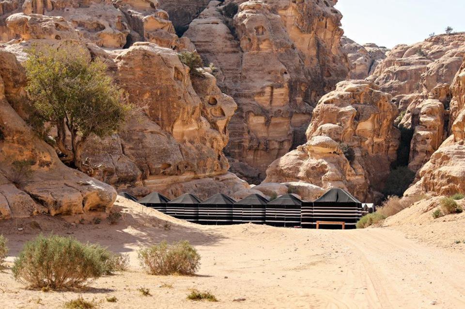 Готель Ammarin Bedouin Camp Ваді-Муса Екстер'єр фото